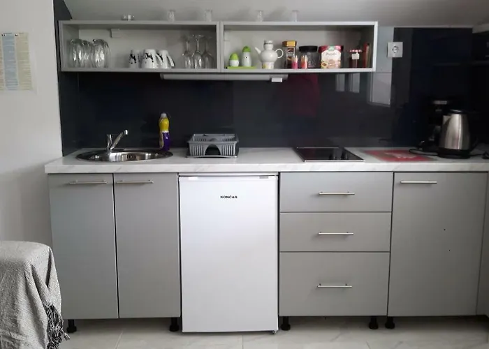 Zora * トロギール